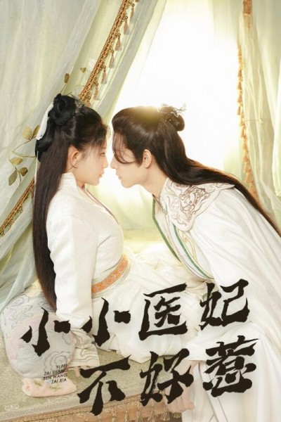 《小小医妃不好惹》短剧高清全集免费在线观看播放完整版